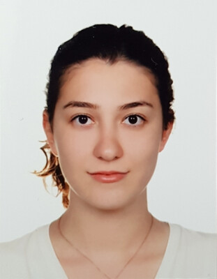 Bengisu 