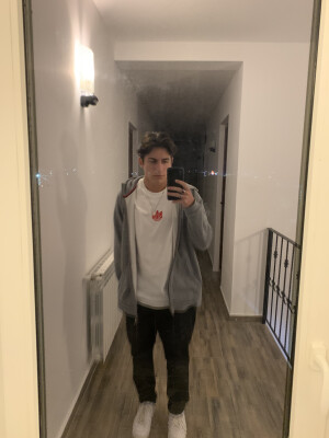 Vulpe