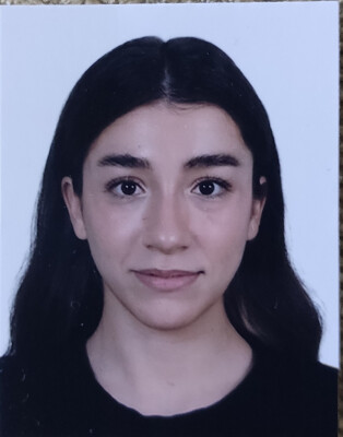 Ipek